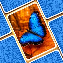 Ikon Jigsaw Puzzle: Solitaire Zen